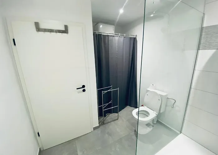 100% Renovated - Quiet Liegi